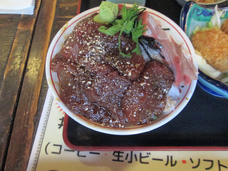 IMG_2887mini.jpg