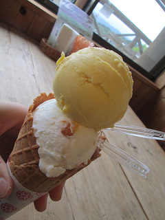 IMG_3667mini.jpg