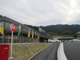 IMG_3670mini.jpg