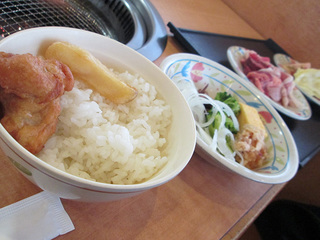 IMG_3997mini.jpg