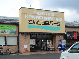 IMG_4010mini.jpg