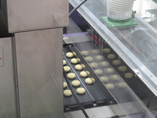IMG_4035mini.jpg