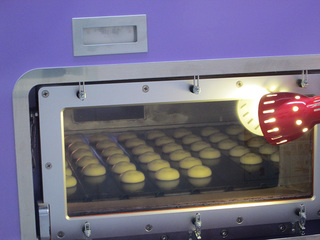 IMG_4036mini.jpg
