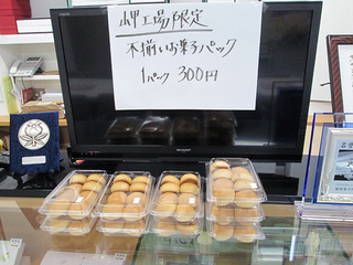 IMG_4042mini.jpg