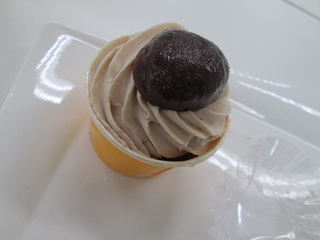 IMG_4054mini.jpg