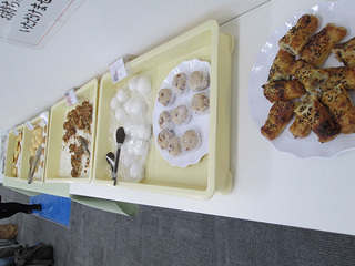 IMG_4061mini.jpg