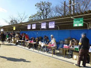 P1000415mini.jpg