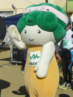P1000422mini.jpg