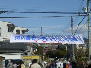 P1000433mini.jpg