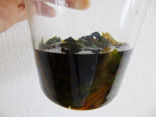 P1000514mini.jpg