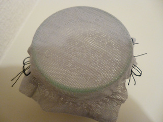 P1000601mini.jpg