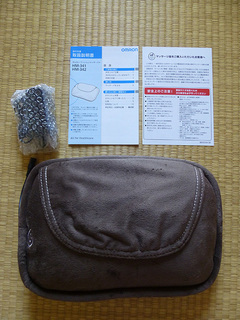 P1000737mini.jpg