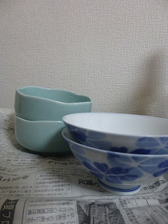 P1000992mini.jpg