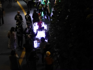 P1010210mini.jpg