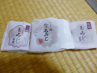 P1010308mini.jpg