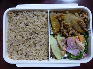 P1010311mini.jpg
