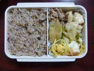 P1010341mini.jpg