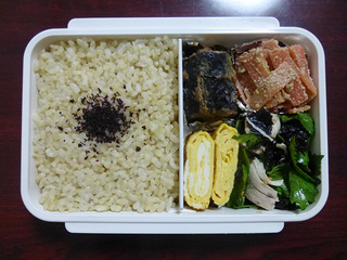 P1010427mini.jpg