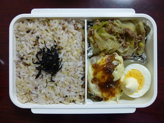 P1010441mini.jpg